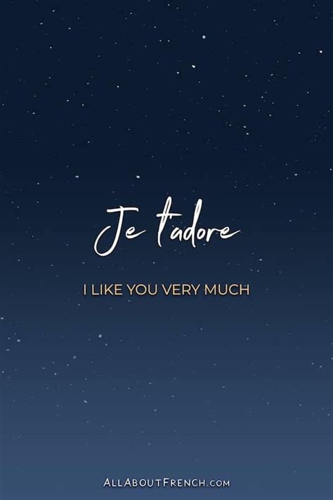 j'adore paris meaning|je t'adore pronunciation.